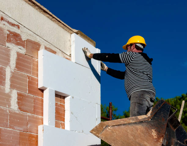 Best Insulation Maintenance and Repair in Ridgeville, SC