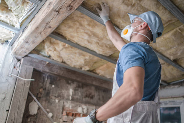 Best DIY Insulation Kits and Guidance in Ridgeville, SC