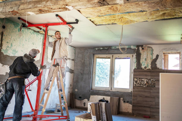 Best Specialized Insulation Services in Ridgeville, SC