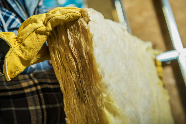 Professional Insulation Contractor in Ridgeville, SC